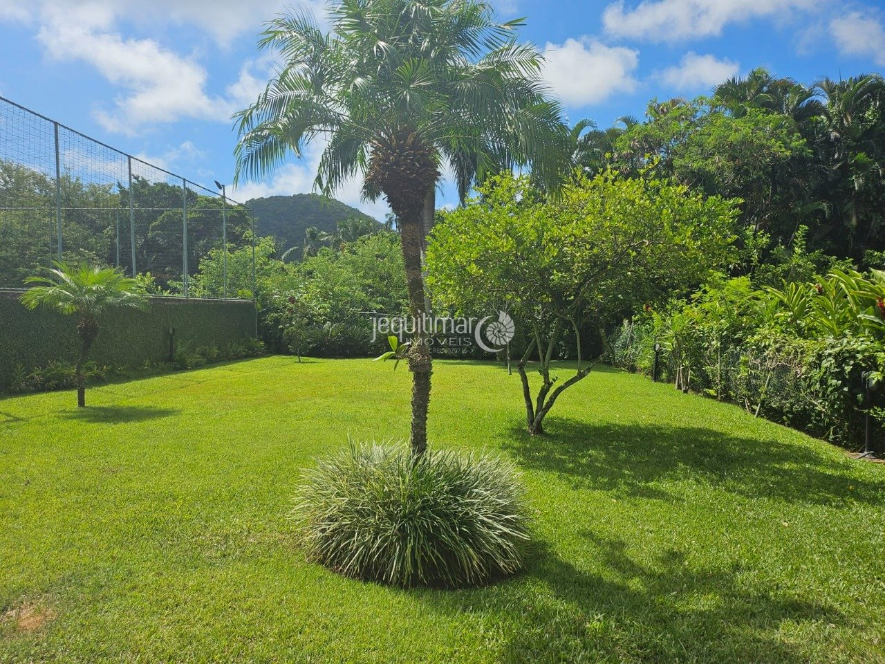 Imagem da propriedade GJA7315 6