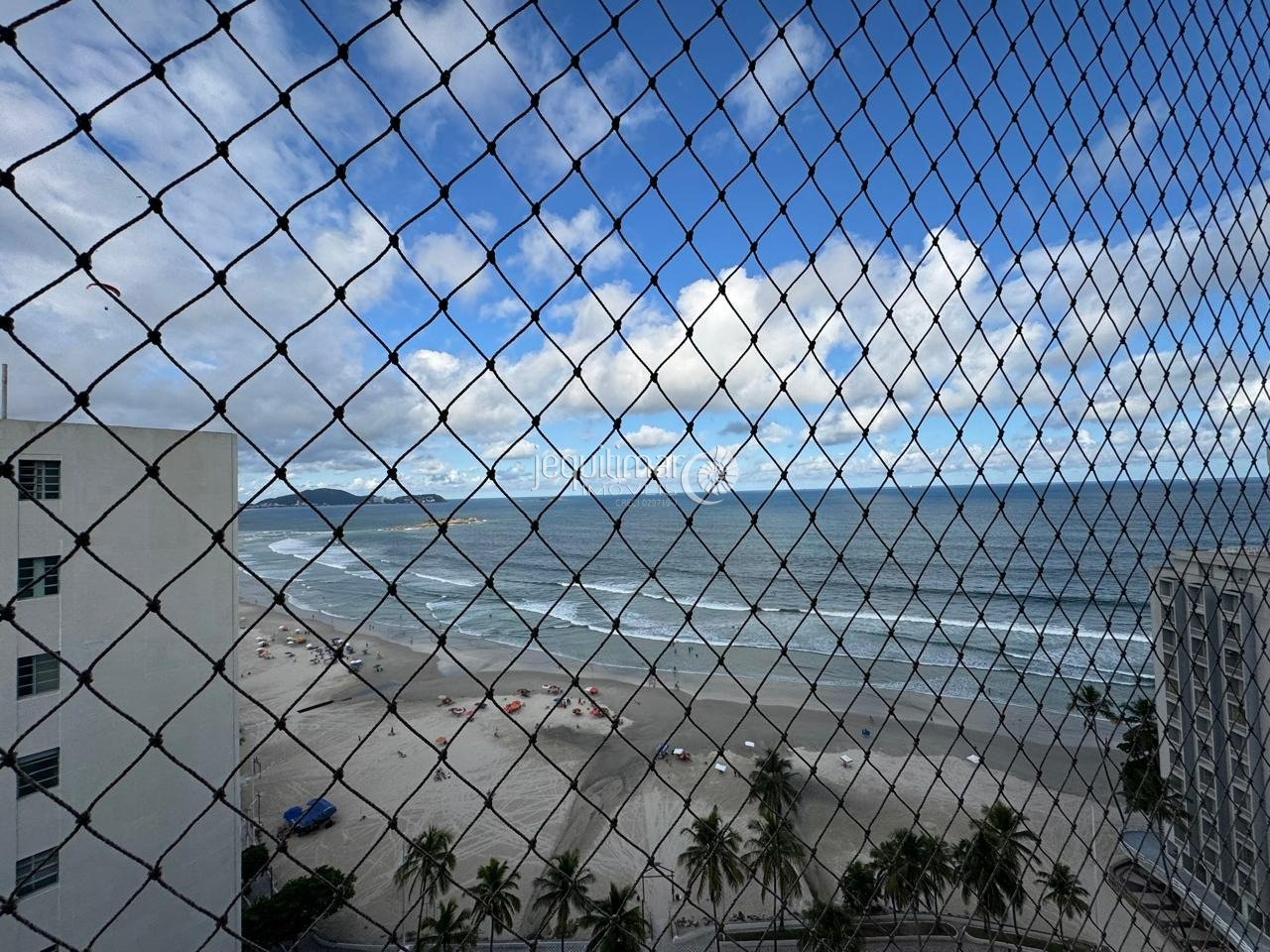 Imagem da propriedade 8449 6